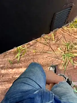 boladeouro126 online show from April 2026 05:41:02 PM