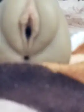 Snapshot of Mikecrazyhy chatting on February 2026 03:16:02 AM Mikecrazyhy online show from February 2026 03:16:02 AM