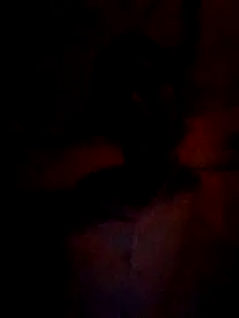 Snapshot of wifedesi7050 chatting on March 2026 04:47:01 PM wifedesi7050 online show from March 2026 04:47:01 PM