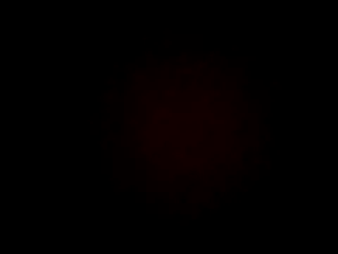 Snapshot of wifedesi7050 chatting on April 2026 04:24:02 AM wifedesi7050 online show from April 2026 04:24:02 AM