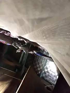 Big-all012 online show from February 2026 09:50:02 AM