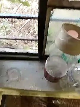 Snapshot of blackbeauty321 chatting on February 2026 11:20:01 AM blackbeauty321 online show from February 2026 11:20:01 AM