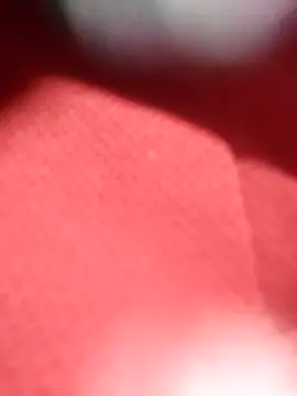 jackkk0011 online show from February 2026 12:48:02 PM