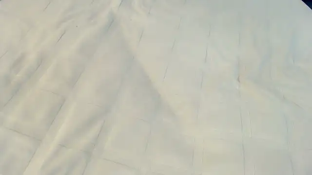 Ass Lovss online show from May 2026 05:45:02 AM