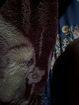 Snapshot of rmriya chatting on February 2026 04:40:01 PM rmriya online show from February 2026 04:40:01 PM