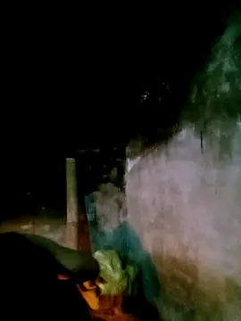 elen8800 online show from March 2026 11:34:02 AM