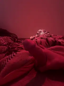 689Nika online show from April 2026 01:11:01 PM