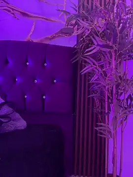 aurora ec online show from March 2026 12:44:01 PM