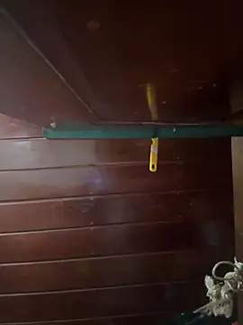 Snapshot of Slvbot202 chatting on February 2026 10:07:01 PM Slvbot202 online show from February 2026 10:07:01 PM