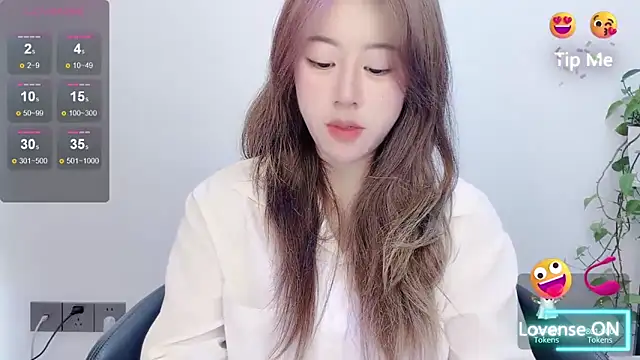 Snapshot of Baixi-01 chatting on May 2026 04:29:02 AM Baixi-01 online show from May 2026 04:29:02 AM