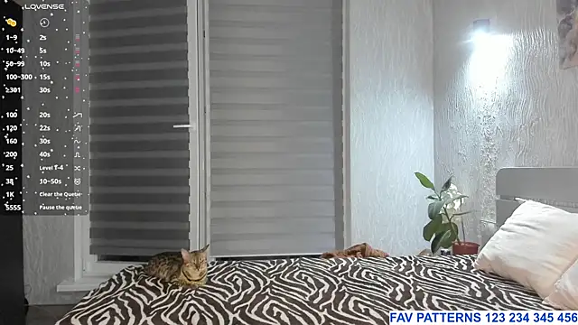 SophieShyy online show from July 2026 07:23:02 PM