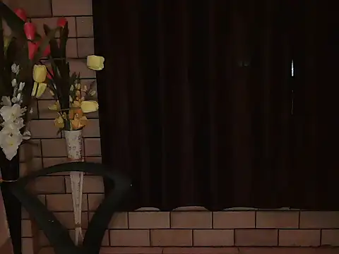 ZohinDishoza online show from March 2026 07:06:02 PM