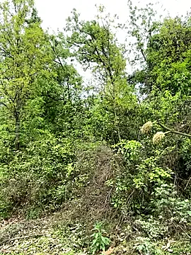 Snapshot of yin202601 chatting on March 2026 06:08:01 AM yin202601 online show from March 2026 06:08:01 AM