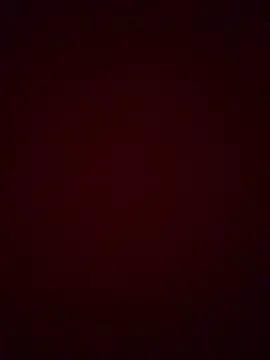 vipzinha online show from February 2026 12:37:02 PM