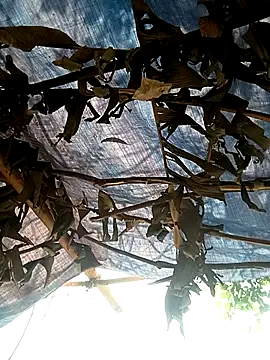 Snapshot of Mizu-hotshow chatting on April 2026 03:44:02 AM Mizu-hotshow online show from April 2026 03:44:02 AM