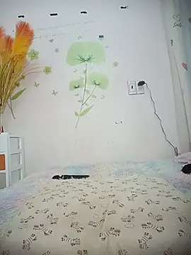 Meow cute online show from July 2026 06:43:02 AM