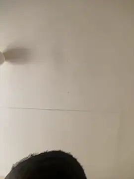 berl3 online show from March 2026 10:54:02 AM