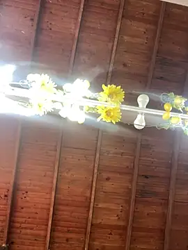 LiaTrainor online show from April 2026 07:09:02 PM