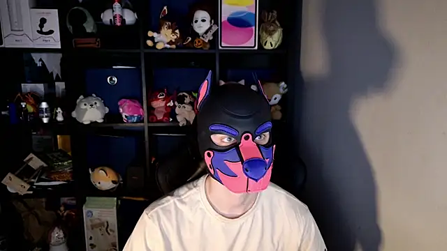 MellPUP online show from June 2026 11:23:01 AM