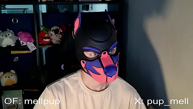 MellPUP online show from June 2026 01:04:01 PM