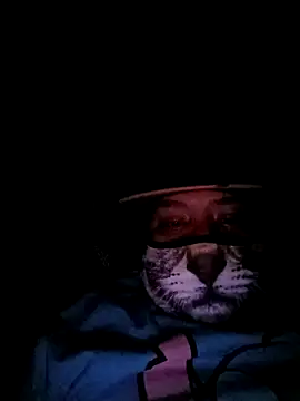 Snapshot of Charlygunslove chatting on March 2026 01:34:01 AM Charlygunslove online show from March 2026 01:34:01 AM