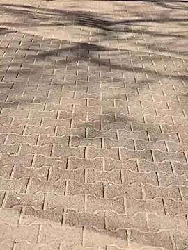 MarekPublicShow online show from March 2026 01:18:02 PM