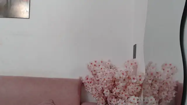 Tamar4 f00x online show from May 2026 12:43:01 PM