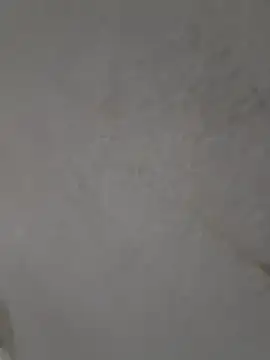 Casandraxquesi online show from March 2026 04:13:02 PM