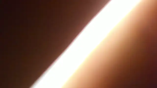 bichslutsgirls online show from April 2026 11:35:01 PM