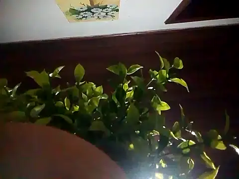 Snapshot of KikoKratos chatting on July 2026 03:03:01 AM KikoKratos online show from July 2026 03:03:01 AM