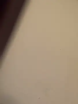 Snapshot of buivali00 chatting on March 2026 11:38:01 AM buivali00 online show from March 2026 11:38:01 AM