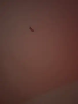 Snapshot of 21cm19 chatting on March 2026 01:05:01 AM 21cm19 online show from March 2026 01:05:01 AM