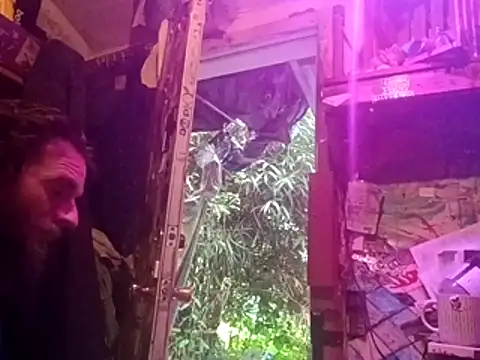 nearby causual online show from July 2026 01:29:02 AM