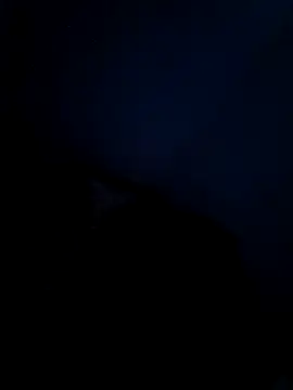 Vaishnavii online show from March 2026 08:19:01 AM