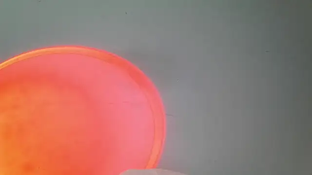 Snapshot of srghost333 chatting on March 2026 03:56:01 AM srghost333 online show from March 2026 03:56:01 AM