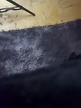 Snapshot of andriws15 chatting on March 2026 07:46:01 AM andriws15 online show from March 2026 07:46:01 AM