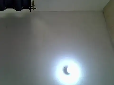 Snapshot of bongo9811 chatting on March 2026 06:51:01 AM bongo9811 online show from March 2026 06:51:01 AM