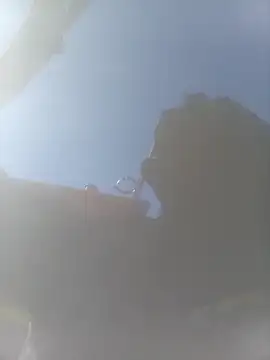 Snapshot of pervertidonegro chatting on March 2026 12:42:02 PM pervertidonegro online show from March 2026 12:42:02 PM