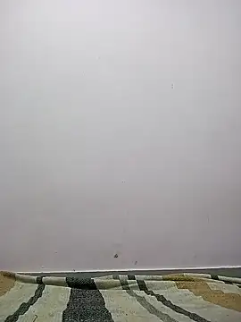 Snapshot of M__Payal__ chatting on March 2026 05:22:01 AM M Payal online show from March 2026 05:22:01 AM