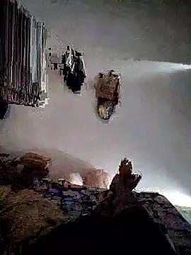 roselover2222 online show from March 2026 10:48:01 AM