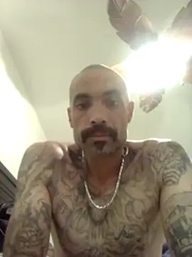 wesstfine online show from May 2026 07:21:01 PM