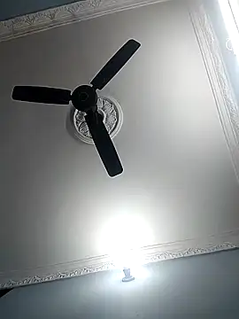 kavaya782 online show from April 2026 12:54:01 PM