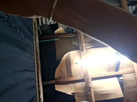 Snapshot of ThiagoM2002 chatting on March 2026 03:56:01 AM ThiagoM2002 online show from March 2026 03:56:01 AM