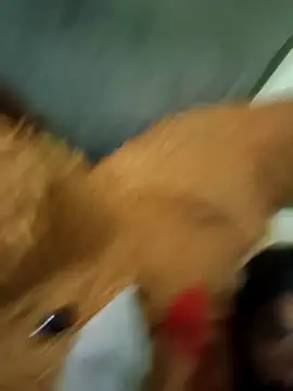 vishnu indian01 online show from March 2026 01:01:01 PM