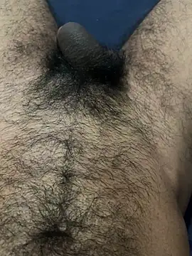 profetabr26 online show from July 2026 06:50:02 AM