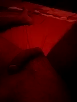 Fsucxubz online show from April 2026 04:26:01 PM