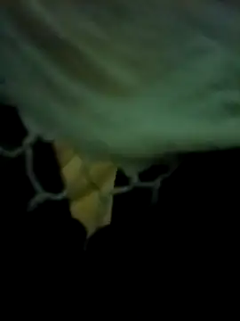 Snapshot of yourdreamman007_ chatting on March 2026 11:27:02 PM yourdreamman007 online show from March 2026 11:27:02 PM