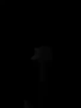 Hildaqii online show from June 2026 08:00:02 PM
