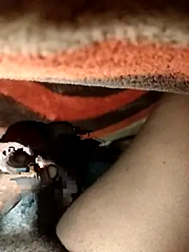 Snapshot of chickelikeme chatting on April 2026 02:00:01 AM chickelikeme online show from April 2026 02:00:01 AM