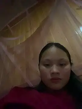  Sunflower   online show from April 2026 01:14:02 PM